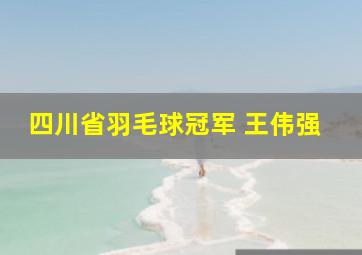 四川省羽毛球冠军 王伟强